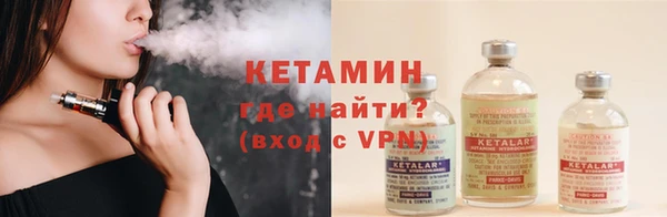 гашик Тайга