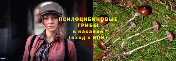 apvp Нефтекумск