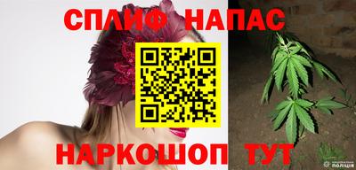 дмт Ставрополь