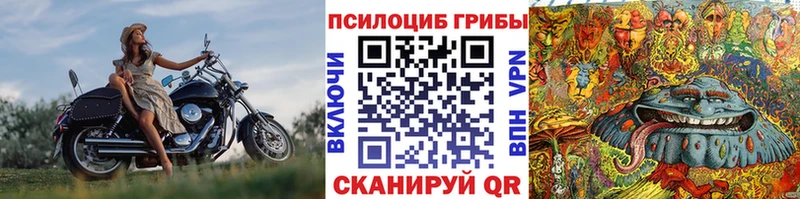 купить наркотики цена  Павловский Посад  mega ссылки  Галлюциногенные грибы мицелий 