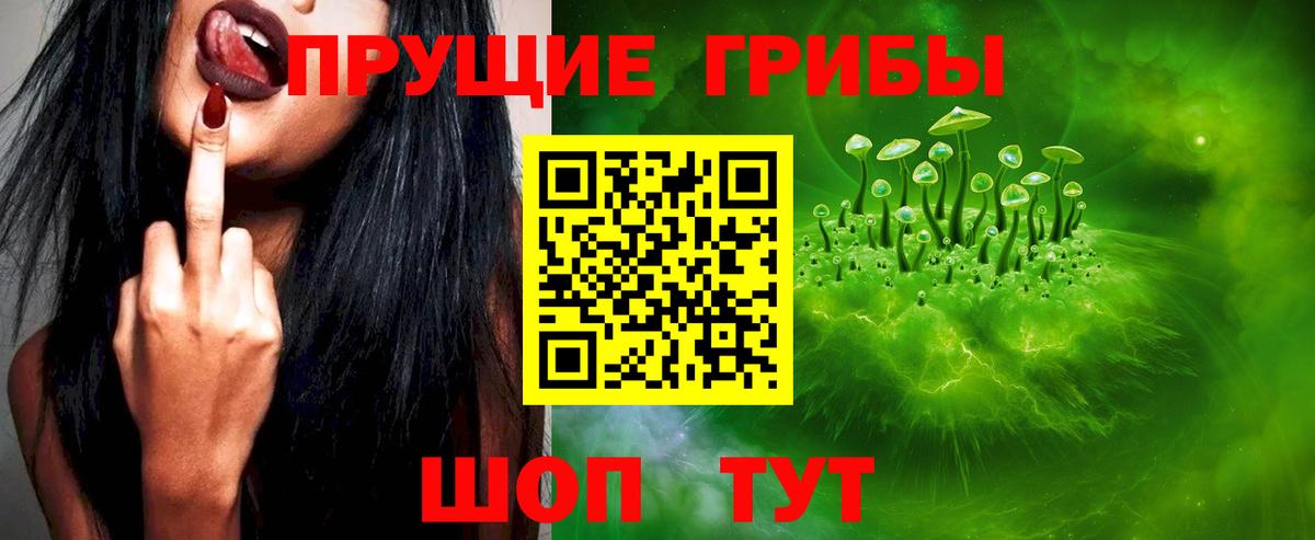 купить закладку  Псилоцибиновые грибы мухоморы  Галлюциногенные грибы MAGIC MUSHROOMS  Вход с VPN  Павловский Посад 