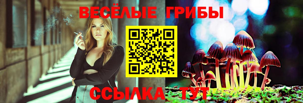 Псилоцибиновые грибы прущие грибы Павловский Посад