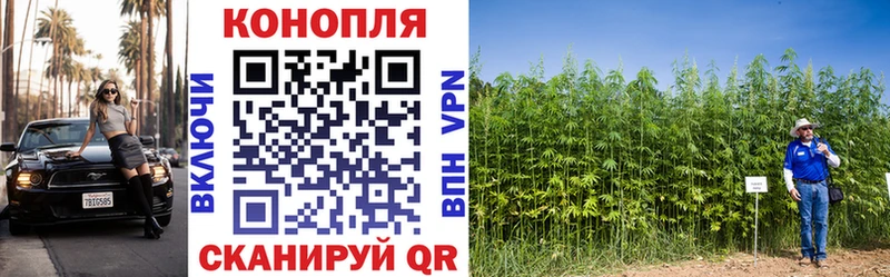 Шишки марихуана конопля  это как зайти  Павловский Посад 